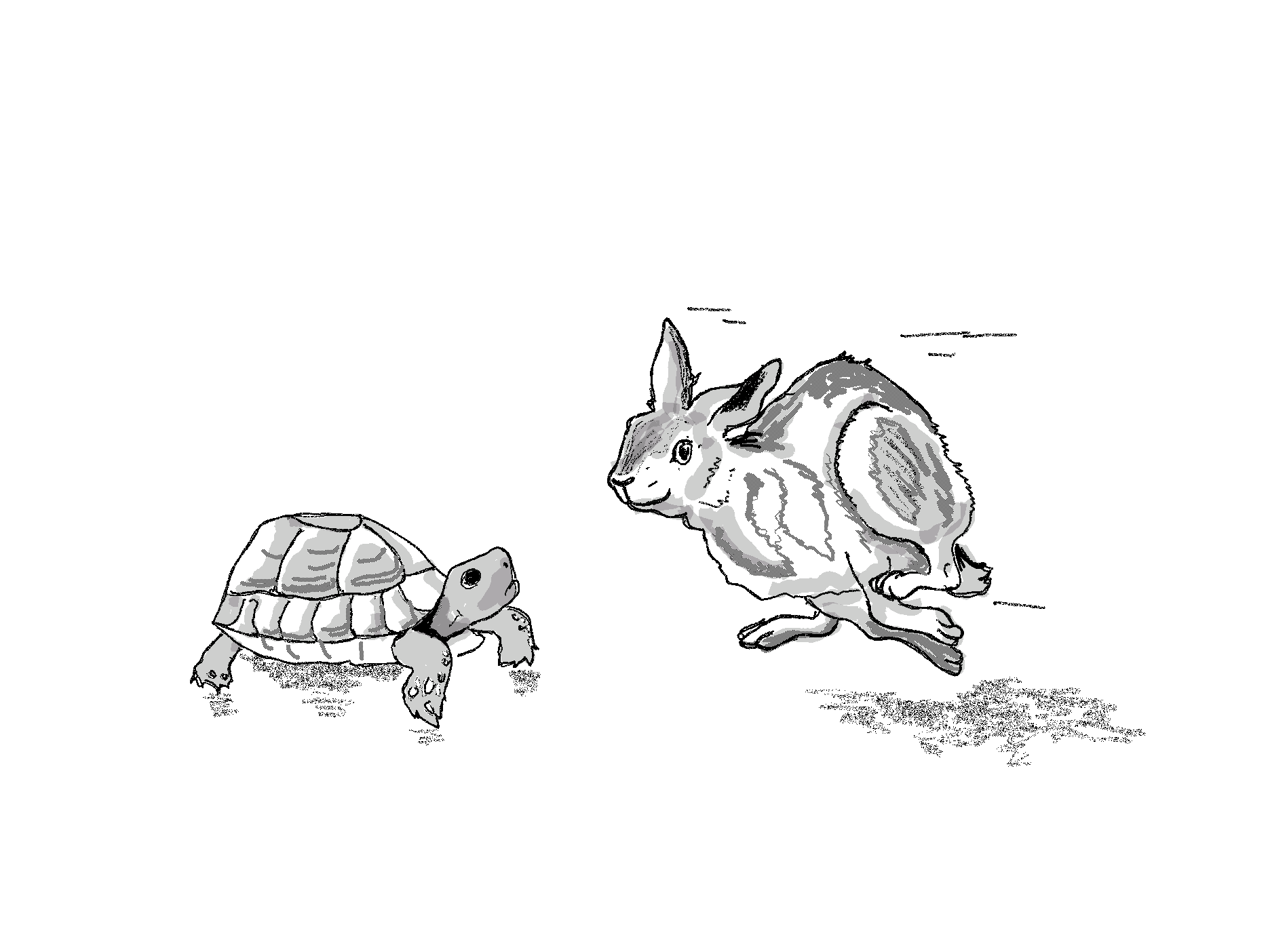 fast and slow